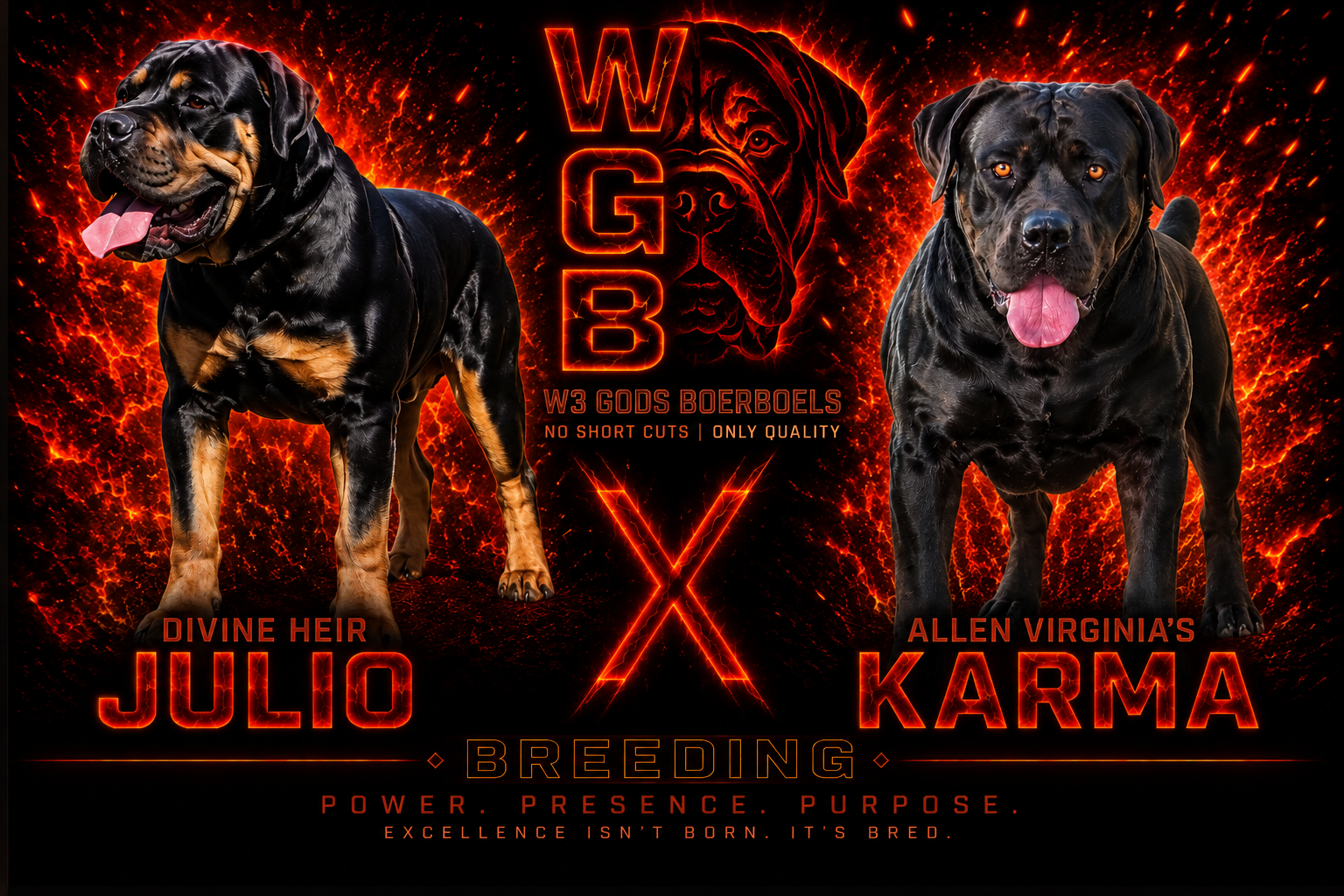 Divine Heir Julio 26 × Allen Virginia's Karma breeding
