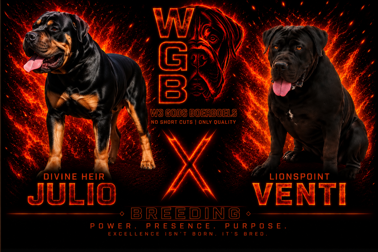 Divine Heir Julio 26 × Lionspoint Venti breeding