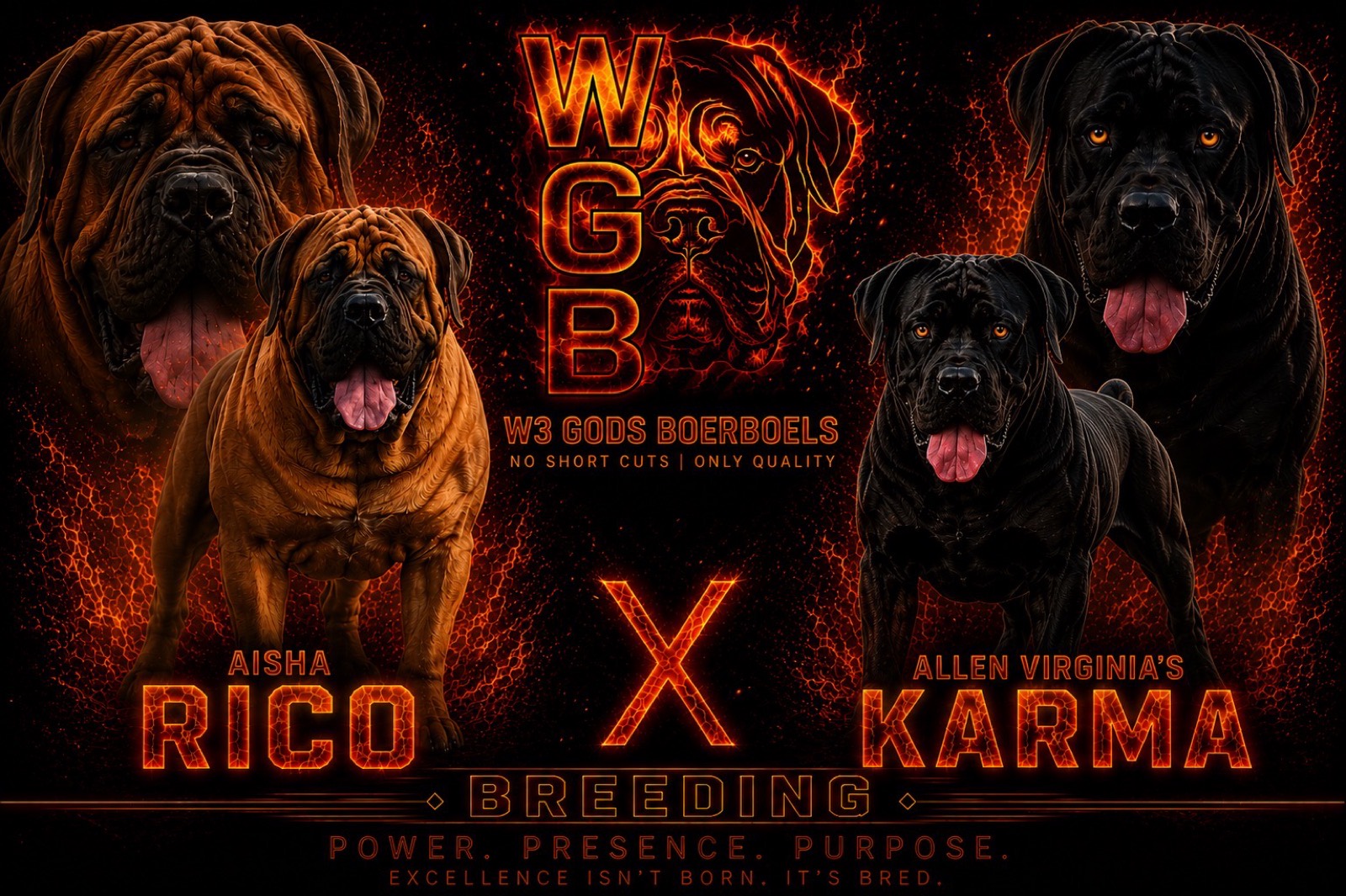 Aisha Rico × Allen Virginia's Karma breeding