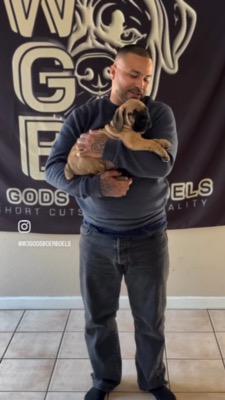 W3 Gods owner testimonial